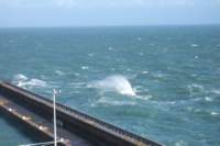 dscf4161_small.jpg