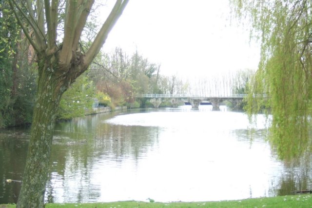 dscf4218.jpg