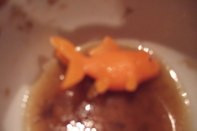 dscf4237.jpg