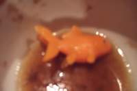 dscf4237_small.jpg